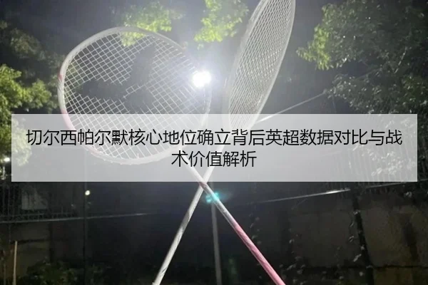 切尔西帕尔默核心地位确立背后英超数据对比与战术价值解析